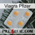 Viagra Pfizer 24